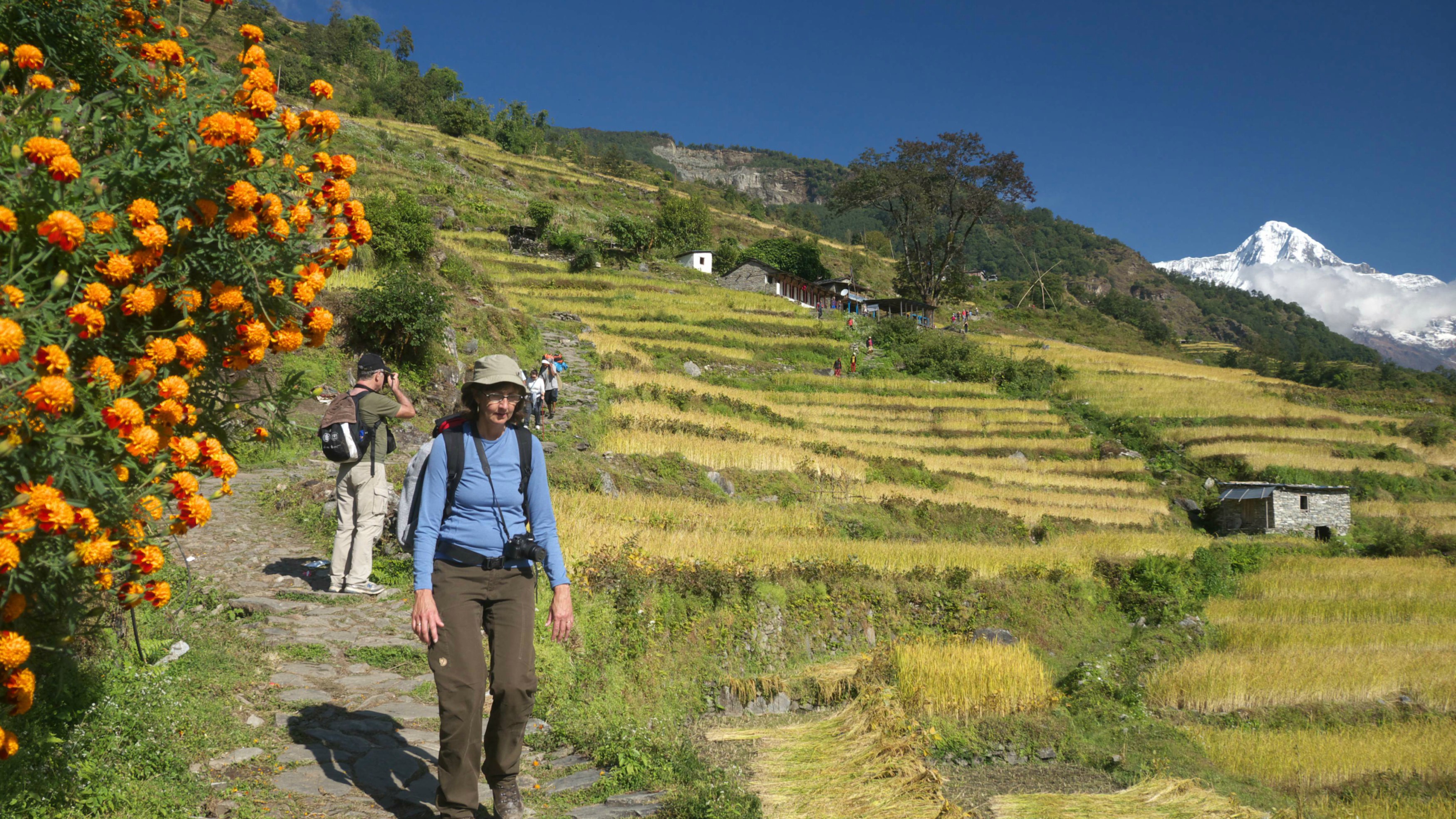 Trekking in Nepal.